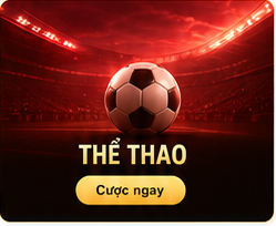 888VI thể thao